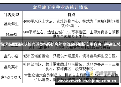 快速获取国家队核心球员伤停信息的高效途径解析实用方法与渠道汇总 快速获取国家队核心球员伤停信息的高效途径解析实用方法与渠道汇总